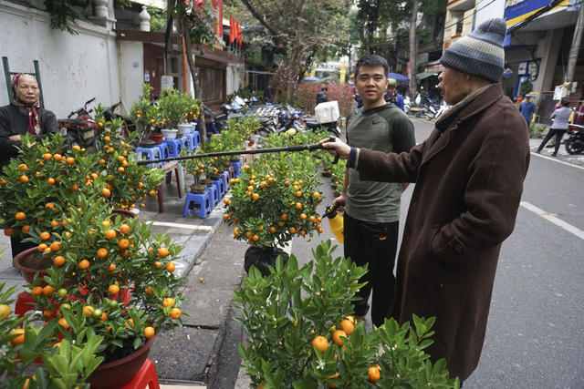 Một cụ già đang chọn quất và nói chuyện vui vẻ với chủ hàng.