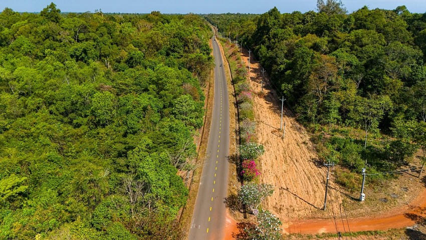 Một đoạn đường xuyên rừng qua Đồng Nai. Ảnh: Lamjang