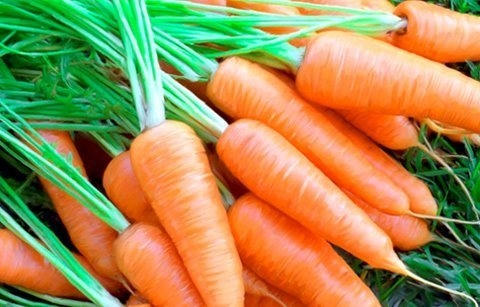 Cà rốt: Cà rốt chứa beta-carotene và carotenoid, trực tiếp bảo vệ cơ thể chống lại việc hấp thụ chất gây ung thư. Bạn có thể ăn sống, nấu chín, hay làm sa lát.
