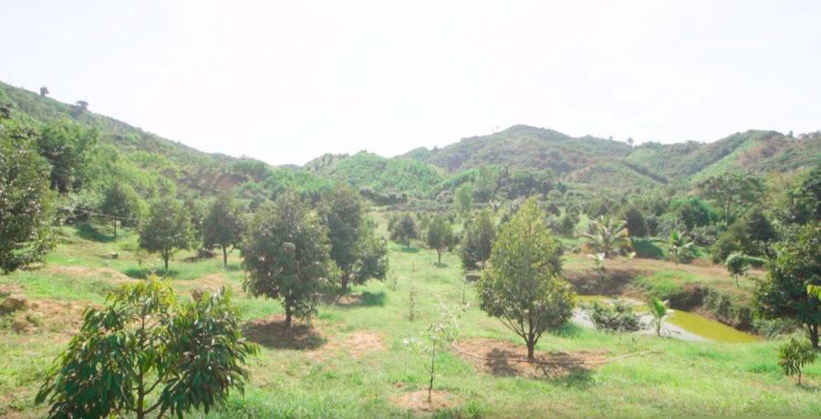 chan dai co vong ba hon 1m chi 15 ty mua 2 manh dat lam nong trai la ai? hinh anh 2