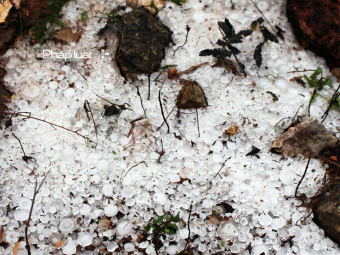 Mưa đá trắng xóa tại huyện Mèo Vạc.