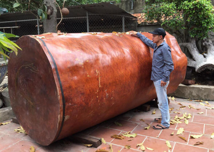 Hiện có khách trả giá tới gần 4 tỷ đồng để mua lại khúc gỗ này nhưng ông Minh chưa bán