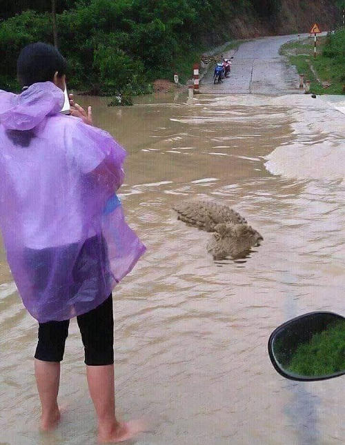 Chụp một bức ảnh làm kỷ niệm.