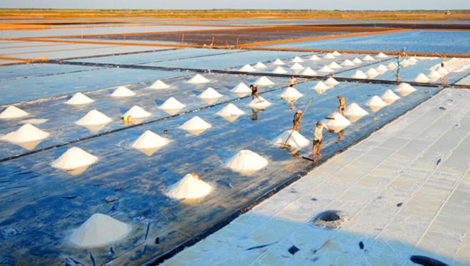 Một phần diện tích đất GPMB ở Ninh Thuận là đất nông nghiệp và diêm nghiệp. Ảnh Ngọc Trinh/Zing.vn