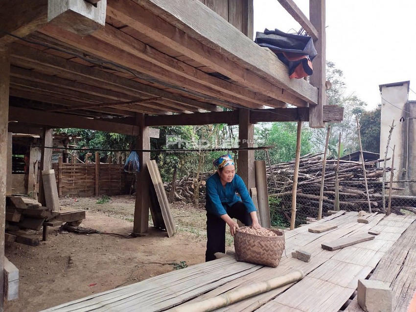 Bà Nông Thị Hoan cho rằng gia đình bà có hoàn cảnh khó khăn, muốn làm nhà ở khu vực trên đỉnh đồi. (Ảnh: P. Họ).