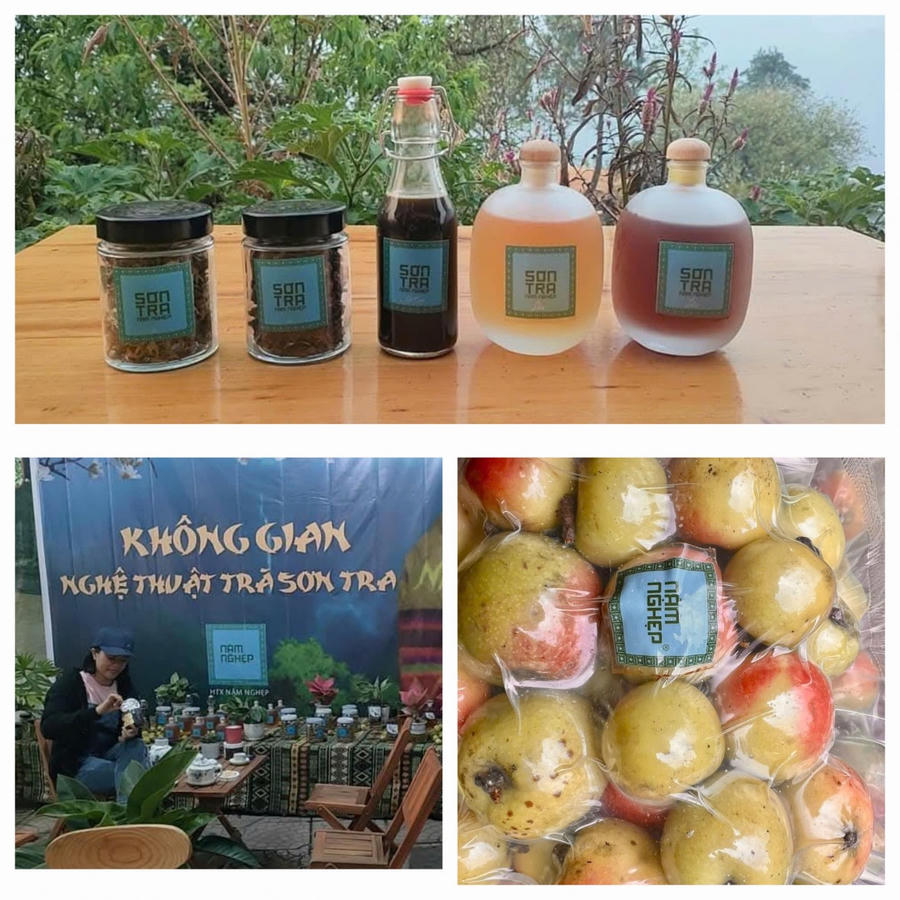 Các sản phẩm từ quả táo mèo đang được HTX Nậm Nghẹp sản xuất với mong muốn giúp người dân nơi đây có một nghề mới có thể thoát nghèo và làm giàu. (Ảnh: NVCC)