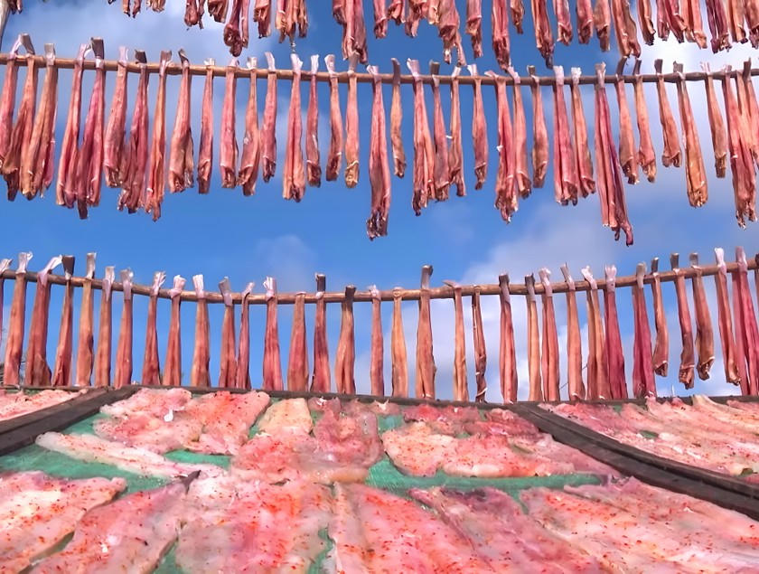 9DFF1D39-5021-4708-B037-D68EE5387276.