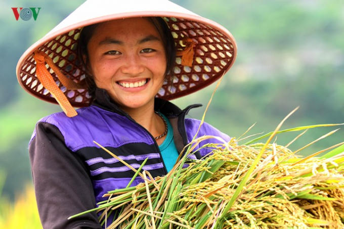 Niềm vui ngày mùa