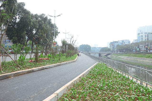 Đến nay, hàng cây xanh được trồng mới thay thế cho hàng cây đị đánh chuyển trước khi thi công. Dải phân cách chính giữa đã được trồng hoa.