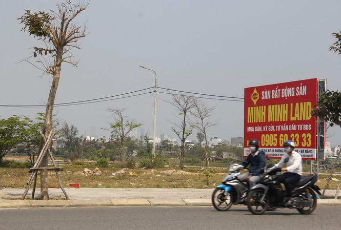 Anh263.