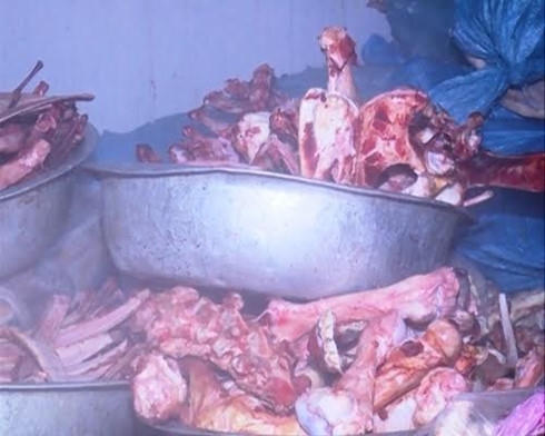 Xương, da trâu bò ướp muối và cấp đông không có giấy tờ đủ điều kiện vệ sinh an toàn thực phẩm.