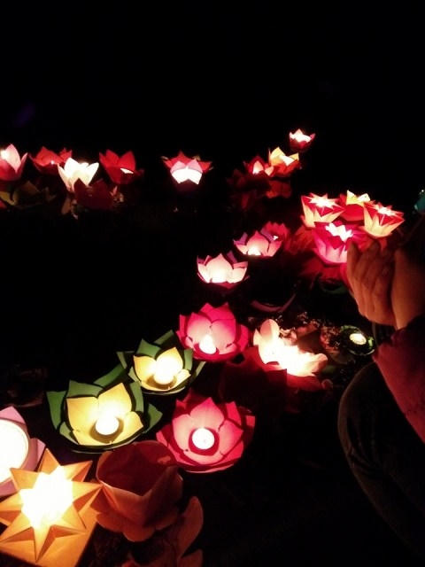 Những chiếc đèn hoa với đủ màu sắc và hình dáng khác nhau.