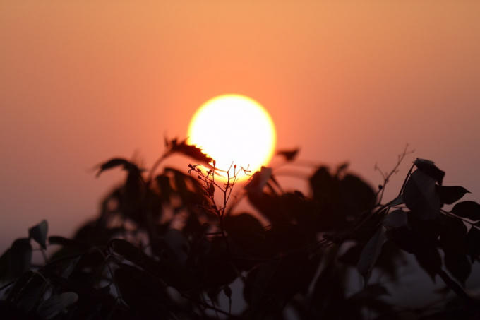 Vẻ đẹp yên bình...