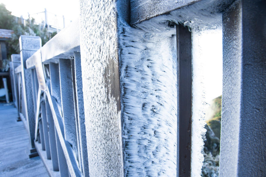 z5009956532817_153b54526ebf4681a1de809103455327