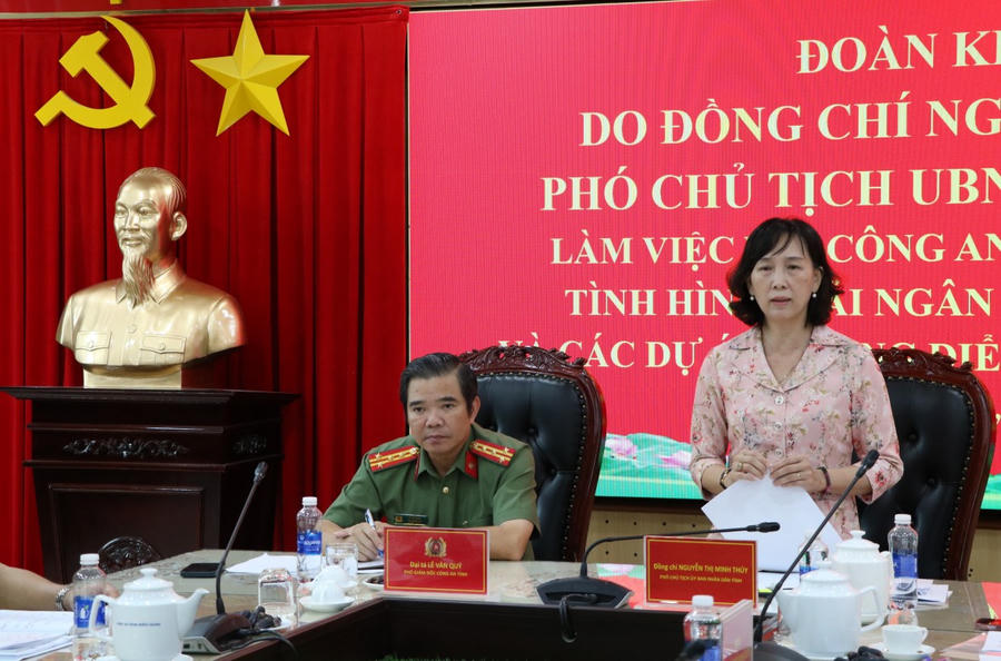 Đồng chí Nguyễn Thị Minh Thuý, Phó Chủ tịch UBND tỉnh An Giang phát biểu chỉ đạo tại buổi làm việc