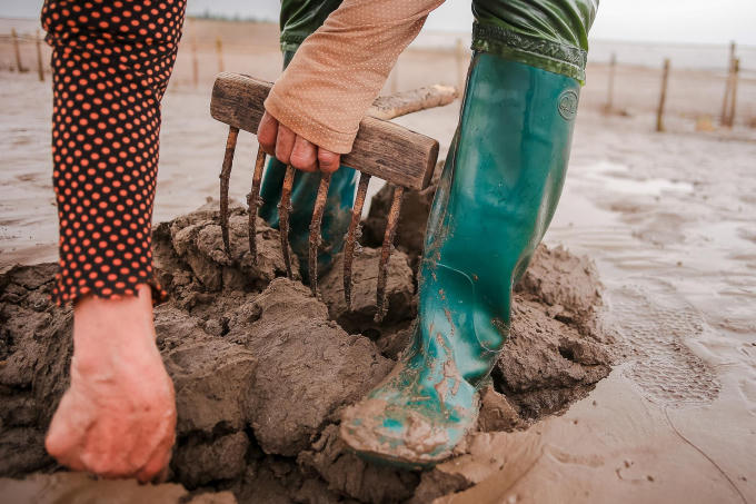 B&agrave; Phi&ecirc;n l&agrave;m nghề c&agrave;o ngao thu&ecirc; đ&atilde; 30 năm.