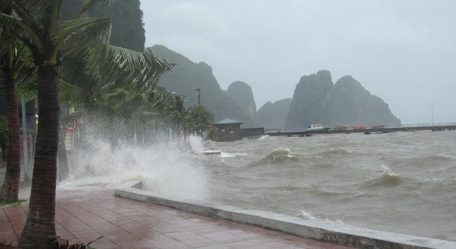 Hình minh họa.