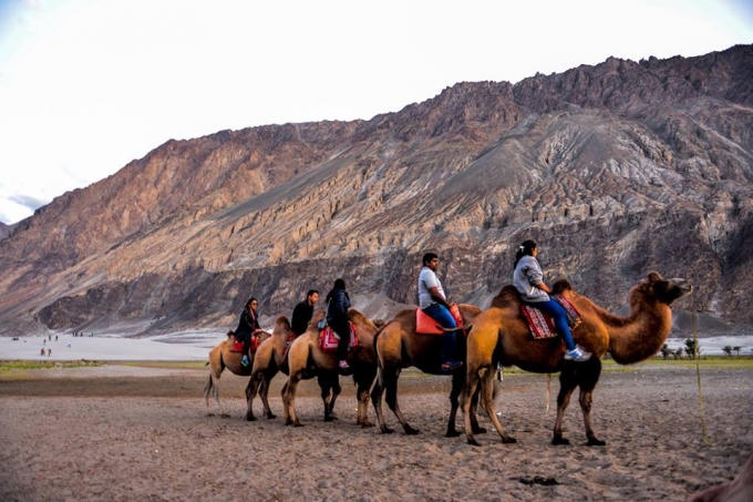 Những chú Lạc Đà là nét đặc trưng không thể thiếu ở nơi đây.