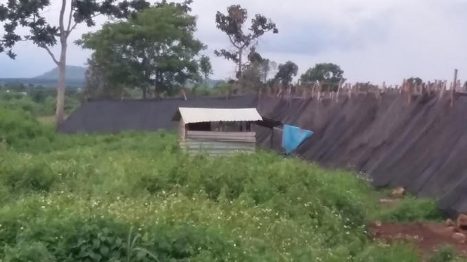 Căn chòi nơi ông Siu Kam bị tố bị bắt quả tang "quan hệ" bất chính với cấp dưới