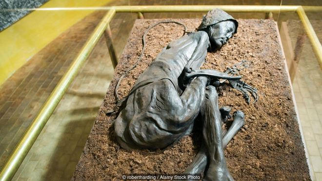 Xác ướp người Đàn ông Tollund có niên đại khoảng 2.400 tuổi