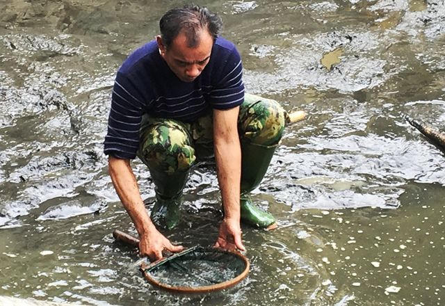 Ao được hút cạn nước để vớt cá chuyển vào tráng, sẵn sàng phục vụ nhu cầu của người dân cũng như các thương lái từ khắp nơi.