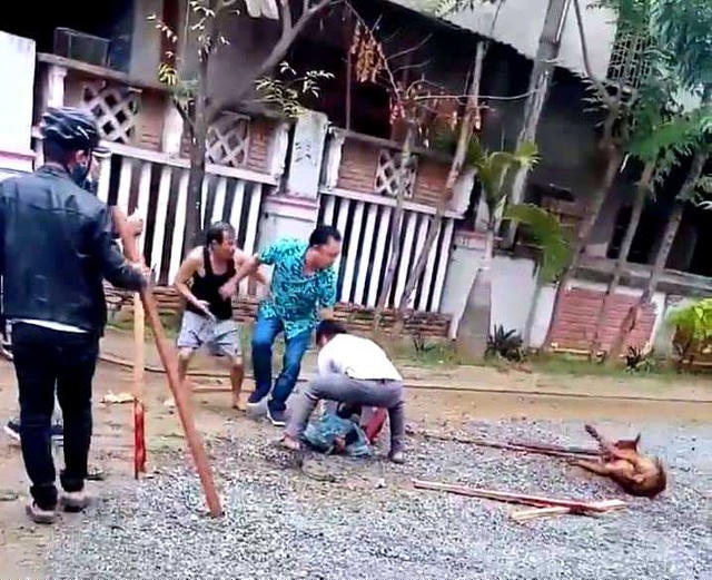 Con chó hung hãn tấn công người phụ nữ đi đường. (Ảnh: CTV)