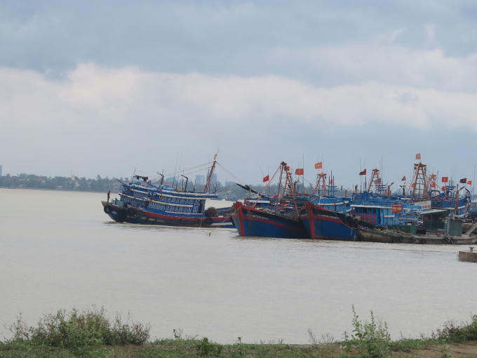 Hiện tại 100 % tàu thuyền trên địa bàn tỉnh Nghệ An đã vào nơ neo đậu an toàn.