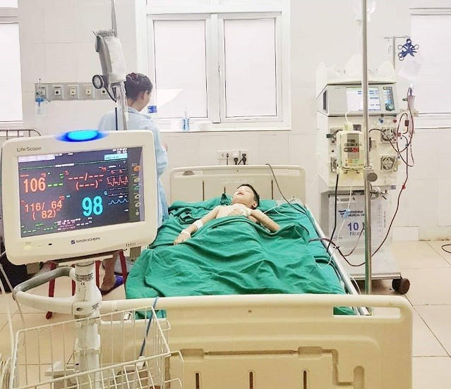 Sau khi bị ong đốt hơn 100 nốt, cháu bé đã được cứu sống một cách thần kỳ.