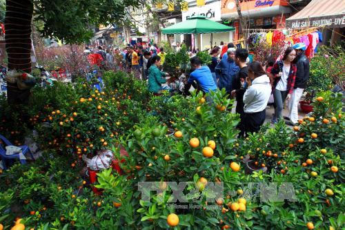 Chợ hoa Hàng Lược chiều cuối năm. Ảnh: Diệu Anh/TTXVN