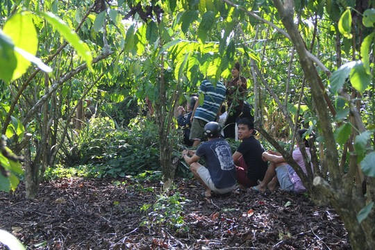 Nơi phát hiện thi thể nạn nhân là vườn cà phê.
