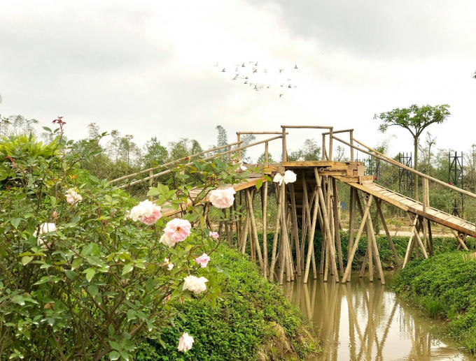 Tặng v&eacute; miễn ph&iacute; tại c&ocirc;ng vi&ecirc;n m&ecirc; cung v&agrave; đảo hoa hồng nh&acirc;n ng&agrave;y 8/3