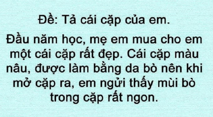 Tả cái cặp của em.