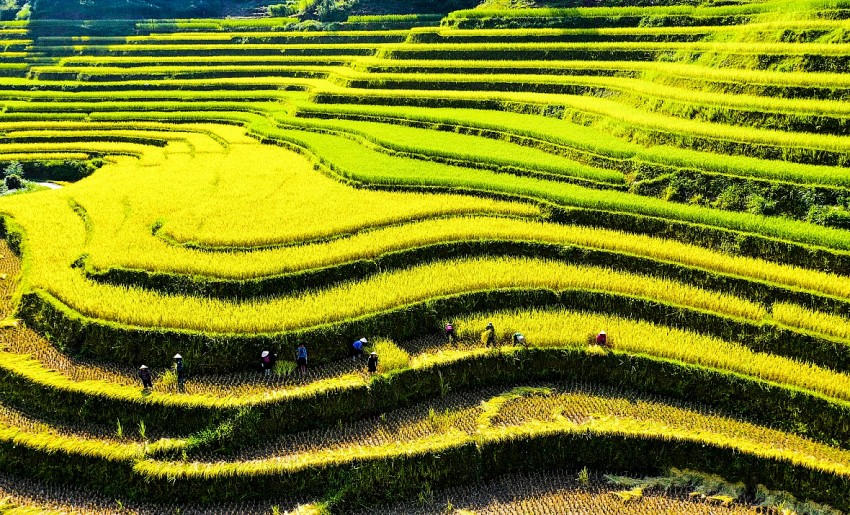 Hà Giang không chỉ nổi tiếng với kỳ quan Cao nguyên đá Đồng Văn mà còn thu hút khách du lịch bởi vẻ đẹp của ruộng bậc thang.