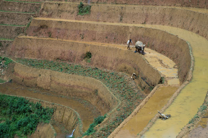 Những đứa trẻ vùng cao Mù Căng Chải