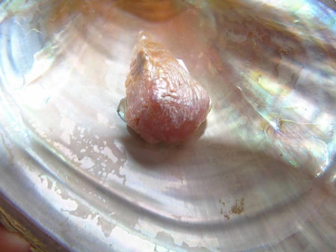 Viên ngọc trai màu hồng nhạt, nặng khoảng 100g giống hình tượng phật được anh Bình phát hiện.