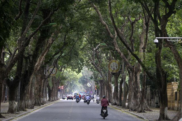Phố Phan Đình Phùng được che phủ bởi hàng cây sấu lâu năm tuyệt đẹp.