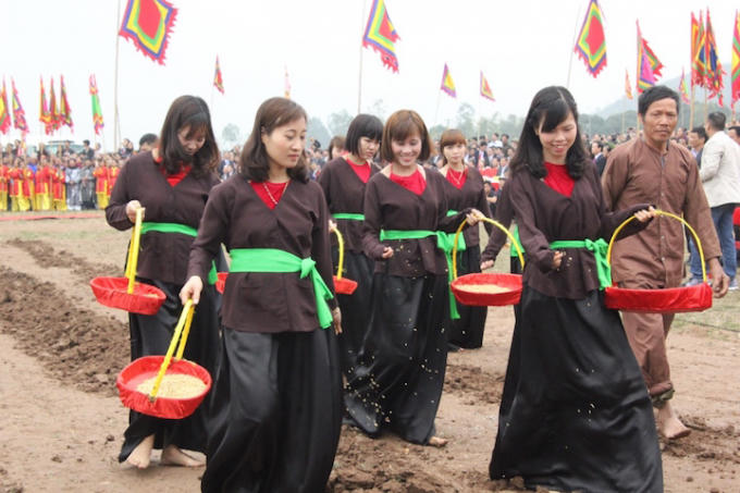 Đoàn gieo hạt giống theo sau đường cày của "Vua" và rắc đỗ xanh, ngô, lạc và thóc xuống đường cày.