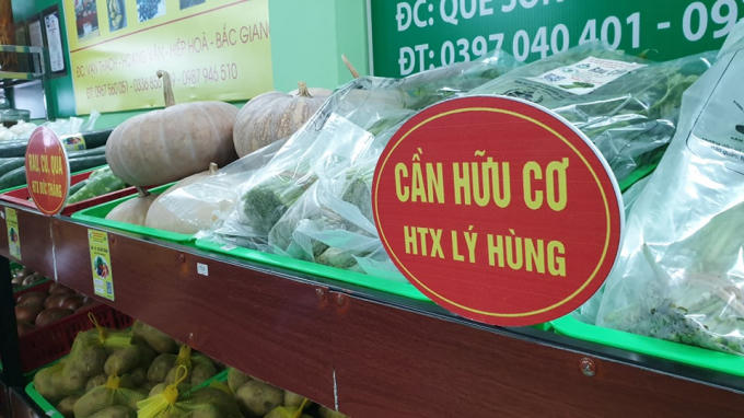 120274741_1000289413771741_6788994065302700316_n