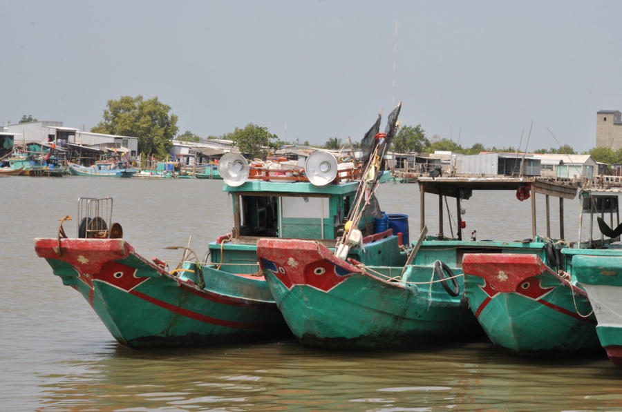 Thị trấn Rạch Gốc cần sự hỗ trợ kịp thời của cơ quan chức năng về trang thiết bị phục vụ công tác số hóa quản lý tàu cá.