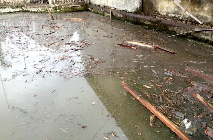 Một góc ao đầy những mảnh gỗ sau vụ nổ kinh hoàng.