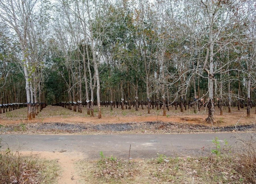 Screenshot_20221216-060917_Chrome