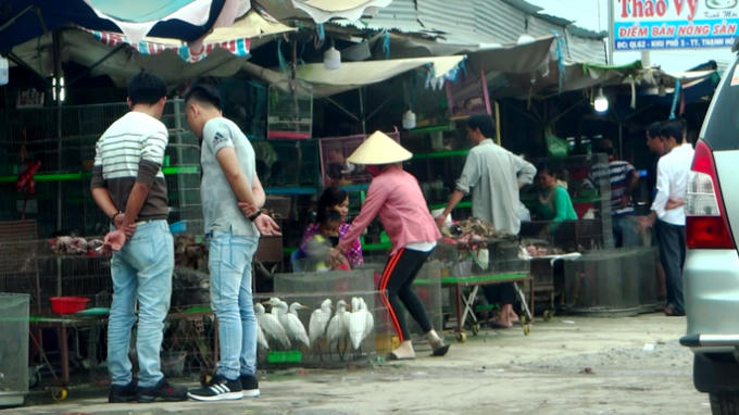 Những ngày cuối tuần, rất nhiều người từ TP HCM và các tỉnh, thành tìm đến đây để mua chim, rùa và nhiều loài động vật quý hiếm.