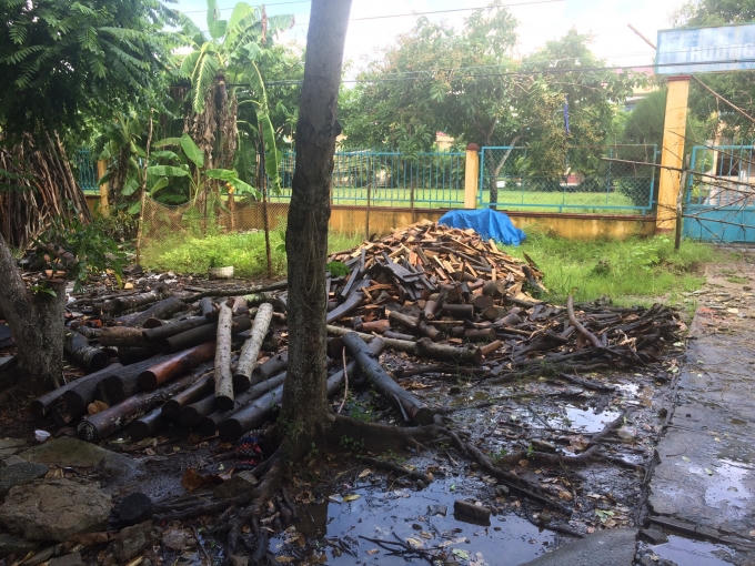 Bên trái ngoài cổng trường thành nơi phơi củi khô.