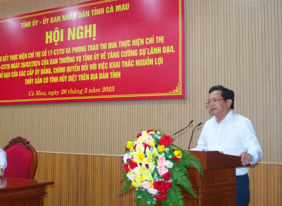 Ông Nguyễn Đức Hiển - Phó Bí thư Thường trực Tỉnh ủy Cà Mau, phát biểu chỉ đạo tại Hội nghị.
