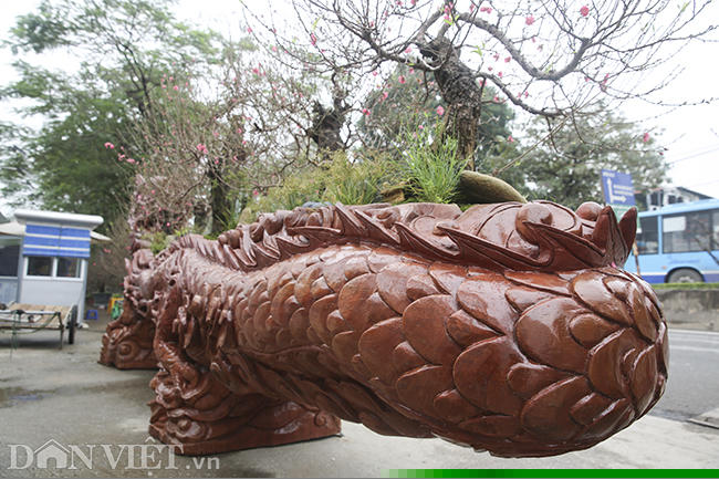 chau dao “sieu khung” cho thue gia 700 trieu dong co gi dac biet? hinh anh 6