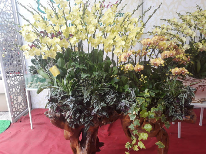 Tác phẩm lan hồ điệp trên gỗ lũa giá 36 triệu đồng đã có chủ.