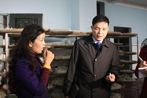 Cuc trưởng Cục ATTP Nguyễn Thanh Phong cùng đoàn kiểm tra mứt tại làng mứt Xuân Đỉnh.