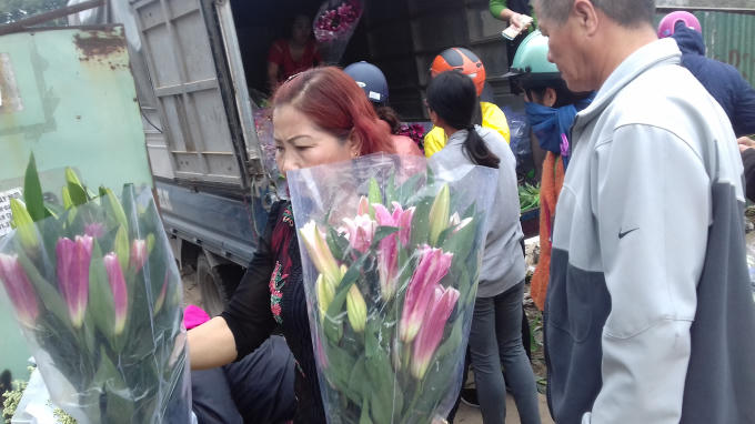 Bình quân mỗi bó hoa ly được bó sẵn giao động từ 7 - 10 bông/1 bó có giá niêm yết là 50.000 đồng.
