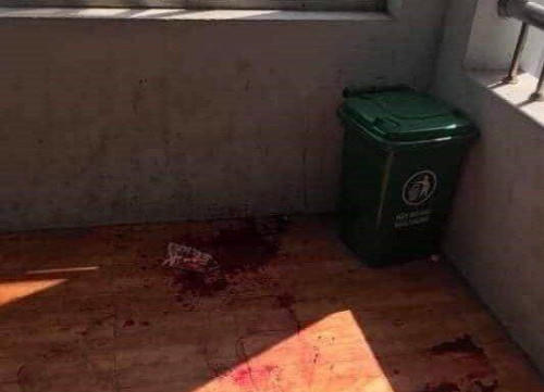 45b80cfb4fbba6e5ffaa(1)