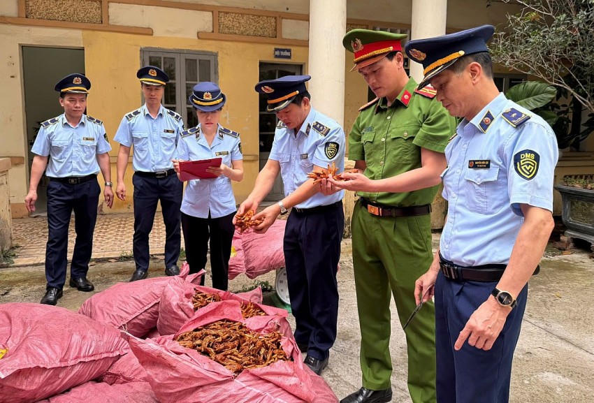 Bắt giữ 1.500 kg chân gà không rõ nguồn gốc xuất xứ tại Lạng Sơn